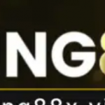 Profile picture of 48080964