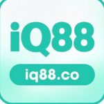 Profile picture of 48081030