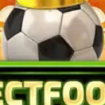 Profile picture of 48092924