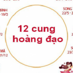 Profile picture of 48097944