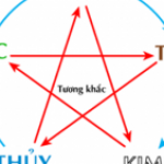 Profile picture of 48098751