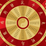 Profile picture of 48104346