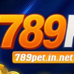 Profile picture of 48125453