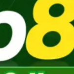 Profile picture of 48208732