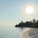 Profile picture of 48254525