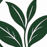 Profile picture of Với sứ mệnh lan tỏa văn hóa trà Việt, Trà Lộc Nguyên cung cấp chè Tân Cương Thái Nguyên chính gốc, chất lượng cao. Mỗi sản phẩm đều trải qua khâu tuyển chọn nghiêm ngặt, đảm bảo hương thơm tinh tế và vị trà thuần khiết đến tay khách hàng.