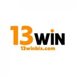 Profile picture of 13winbiz Com