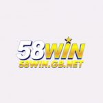 Profile picture of 58wingbnet