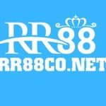 Profile picture of 48412335