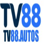 Profile picture of 48420760