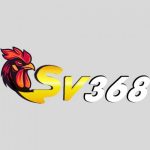 Profile picture of 48424636