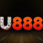 Profile picture of 48507762