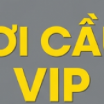 Profile picture of Khám phá khu vực Soi Cầu VIP tại trang Soicaumienbac247 – địa chỉ lý tưởng cho người đam mê cầu số.Tại đây, bạn sẽ được tham khảo phương pháp soi cầu VIP hiệu quả từ nhóm phân tích uy tín.