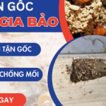 Profile picture of 48522994