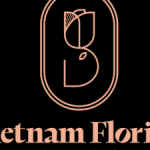Profile picture of VietnamFlorist.net – Reliable Flower Delivery Across VietnamFlowers speak the language of love and gratitude. With over 10 years of experience, VietnamFlorist.net is the go-to service for sending flowers to loved ones across Vietnam.
