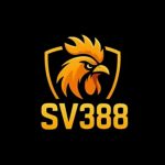 Profile picture of 48548041