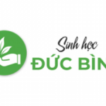 Profile picture of https://chephamvisinh.vn - Chế phẩm vi sinh Đức Bình - Men vi sinh, men bể phốt, men xử lý nước thải, men thuỷ sản, chế phẩm sinh học, chế phẩm ủ rác hữu cơ.