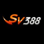 Profile picture of 48585901