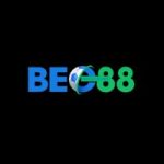 Profile picture of 48606757