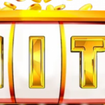 Profile picture of 48614069
