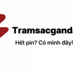 Profile picture of 48621389