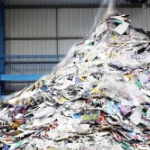 Profile picture of 48641692