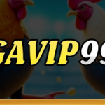 Profile picture of 48669331