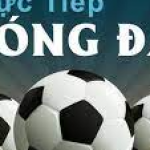 Profile picture of Xem trực tiếp bóng đá không chỉ là thưởng thức trận đấu mà còn là cơ hội kết nối cộng đồng người hâm mộ. Cùng nhau cổ vũ, bình luận và chia sẻ cảm xúc đã biến những trận cầu trở thành kỷ niệm khó quên với hàng triệu fan bóng đá trên toàn thế giới.