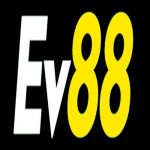 Profile picture of 48687656