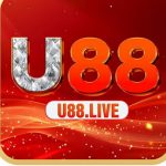 Profile picture of 48699954