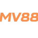 Profile picture of 48705178