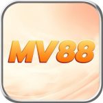 Profile picture of 48724399