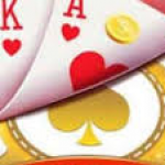 Profile picture of 48748027