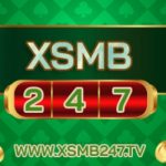 Profile picture of 48767648