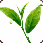 Profile picture of Nguyên Liệu Pha Chế Hân Hân Drinks , địa chỉ 101 Trần Văn Giàu, P.Hòa Xuân, Thành phố Đà Nẵng, chuyên phân phối nguyên liệu trà sữa chính hãng . Sản phẩm đa dạng: syrup an toàn , phục vụ quán sinh tố tại khu vực miền Trung.