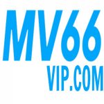 Profile picture of 48787713