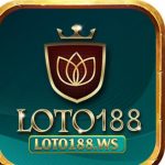 Profile picture of 48811649