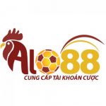 Profile picture of 48812667