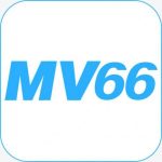 Profile picture of 48844904