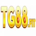 Profile picture of 48846570