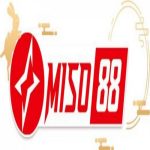 Profile picture of 48850596