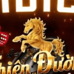 Profile picture of 48861230