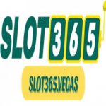 Profile picture of 48942599