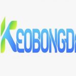 Profile picture of 48989480