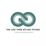 Profile picture of 48997382