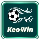 Profile picture of 49017446