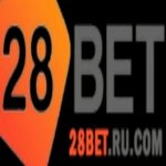 Profile picture of 49061546