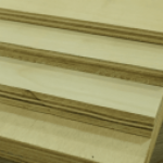 Profile picture of 49065730