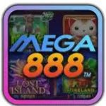 Profile picture of 49077572