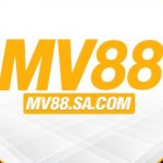 Profile picture of 49083060